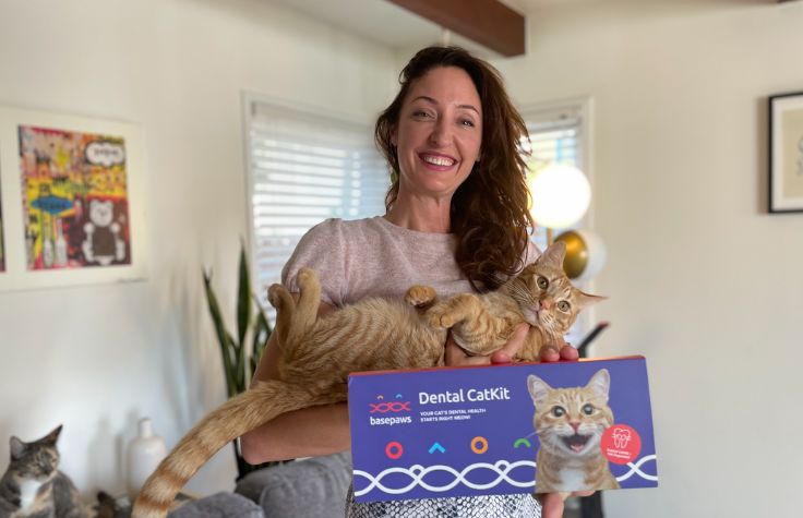 Home genetic testing might save a few of your cat’s nine lives