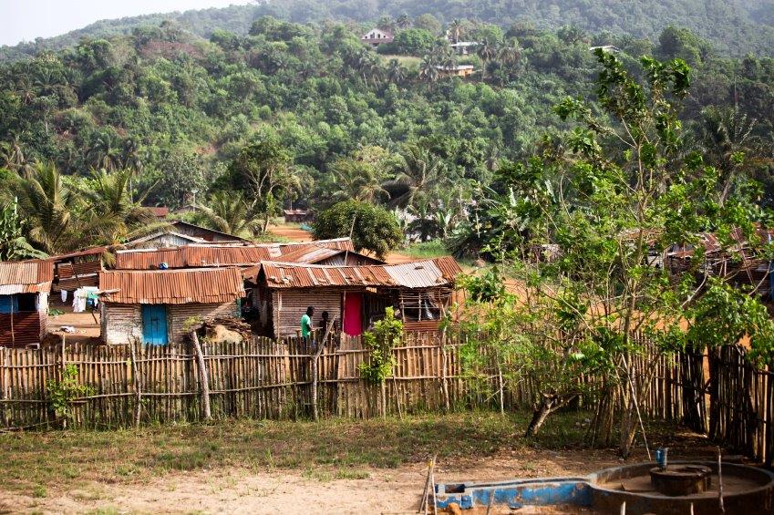 Genome Sequencing Solves Ebola Mystery