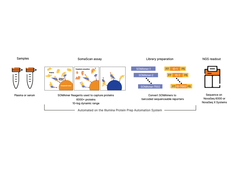 Overview of the Illumina Protein Prep solution