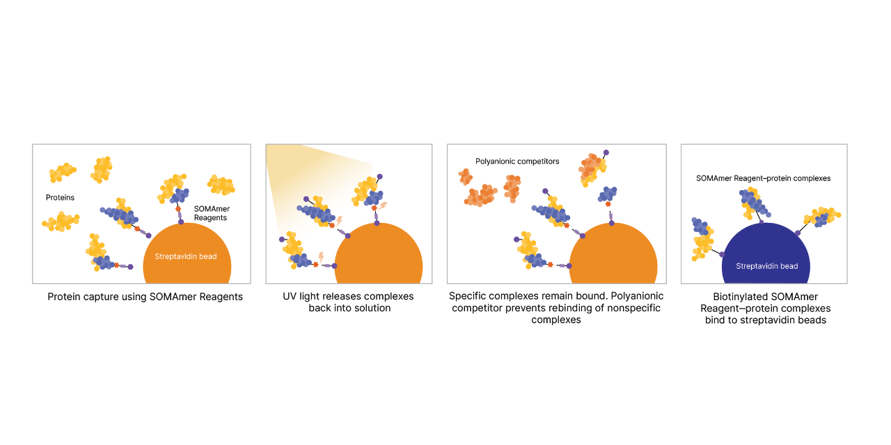Protein-capture using the SOMAScan assay